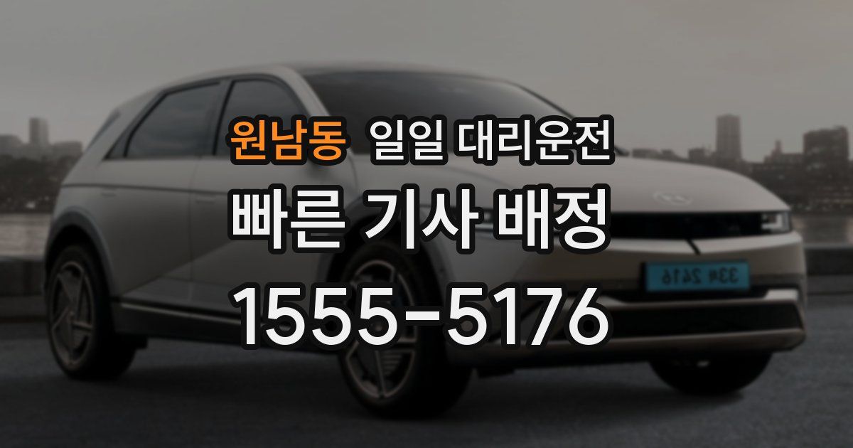 원남동 일일 대리운전