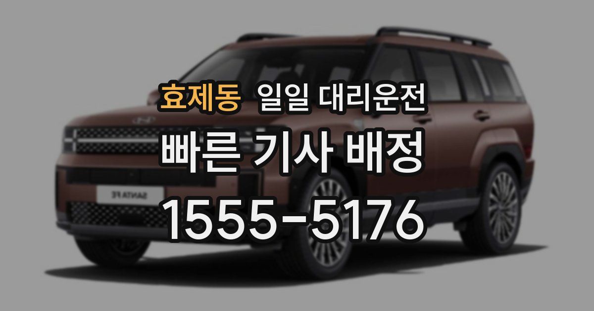 효제동 일일 대리운전
