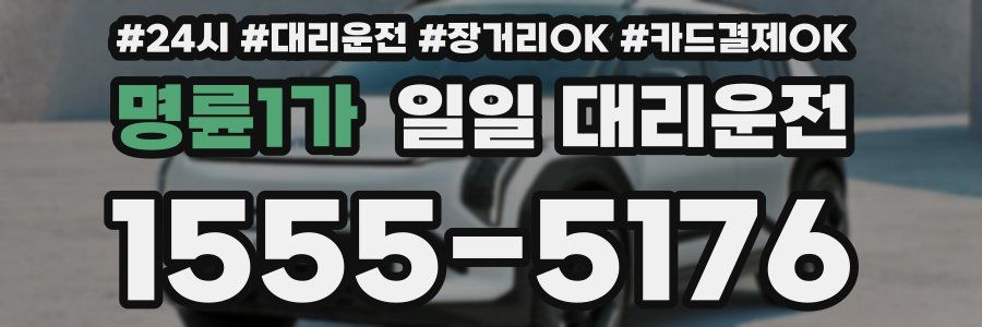 명륜1가 일일 대리운전