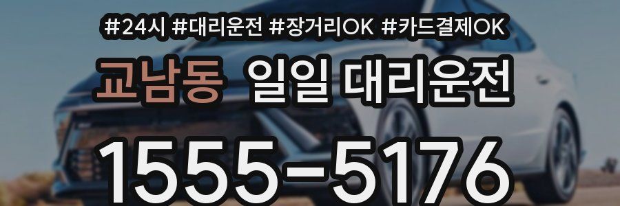 교남동 일일 대리운전