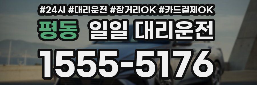 평동 일일 대리운전
