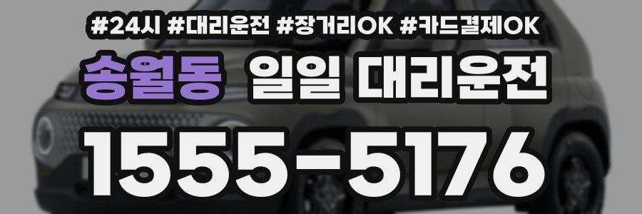 송월동 일일 대리운전