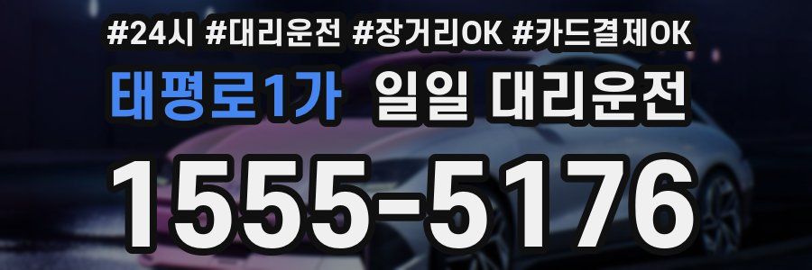태평로1가 일일 대리운전