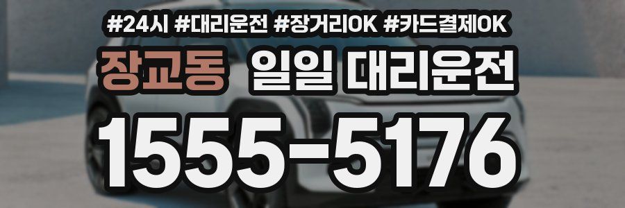장교동 일일 대리운전