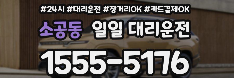 소공동 일일 대리운전