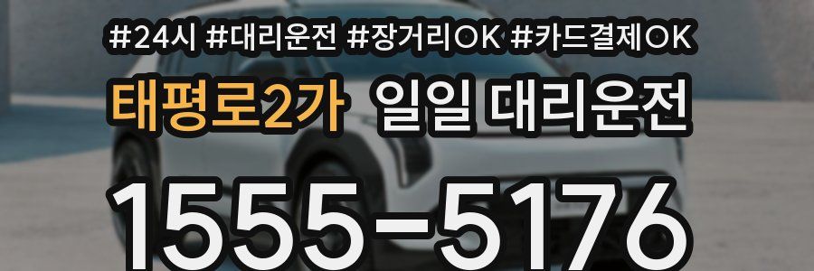 태평로2가 일일 대리운전