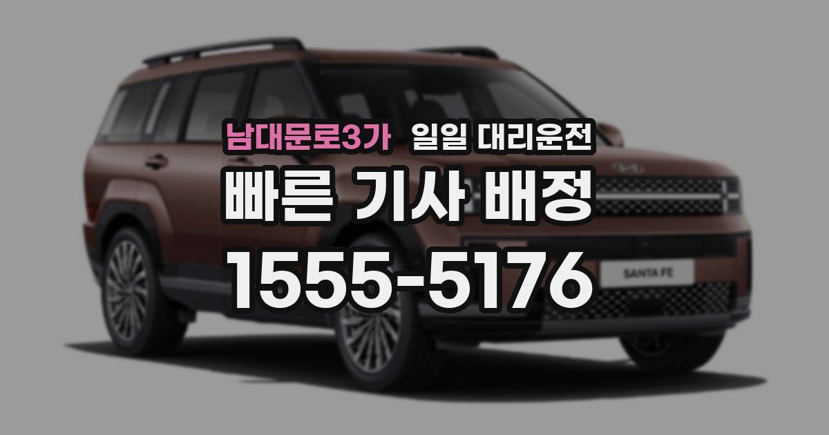 남대문로3가 일일 대리운전