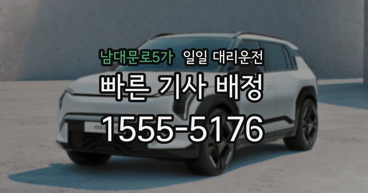 남대문로5가 일일 대리운전