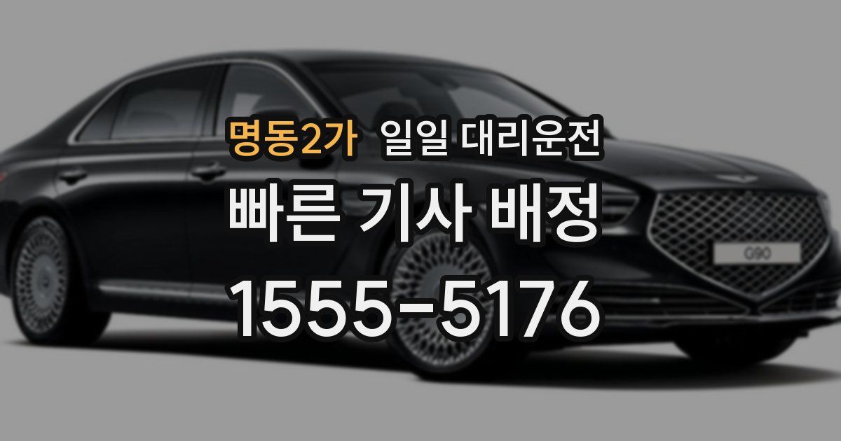 명동2가 일일 대리운전