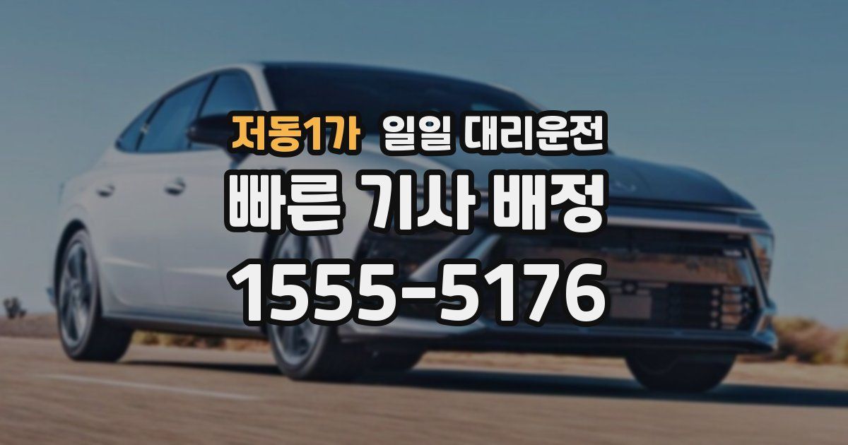 저동1가 일일 대리운전
