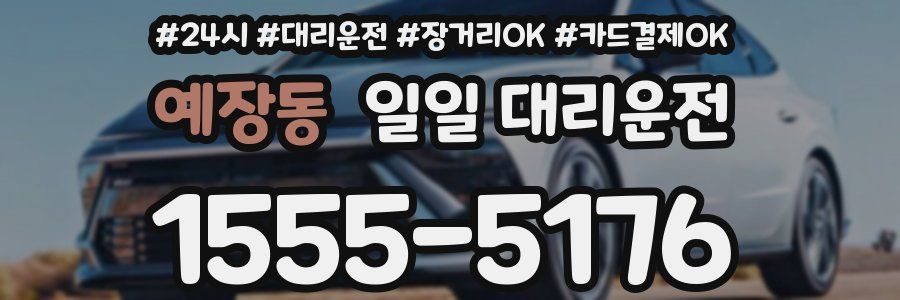 예장동 일일 대리운전