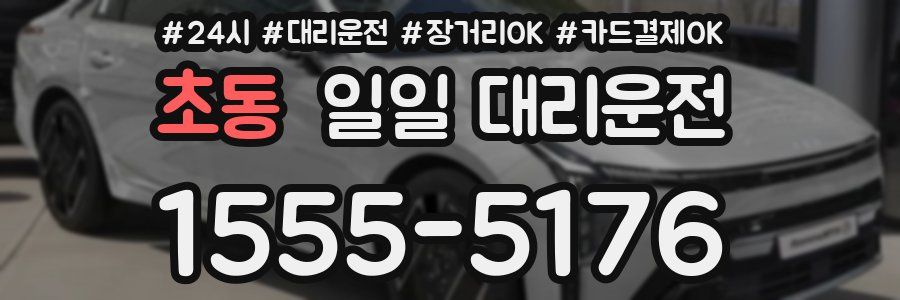 초동 일일 대리운전