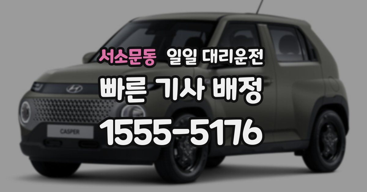 서소문동 일일 대리운전