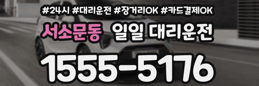 서소문동 일일 대리운전