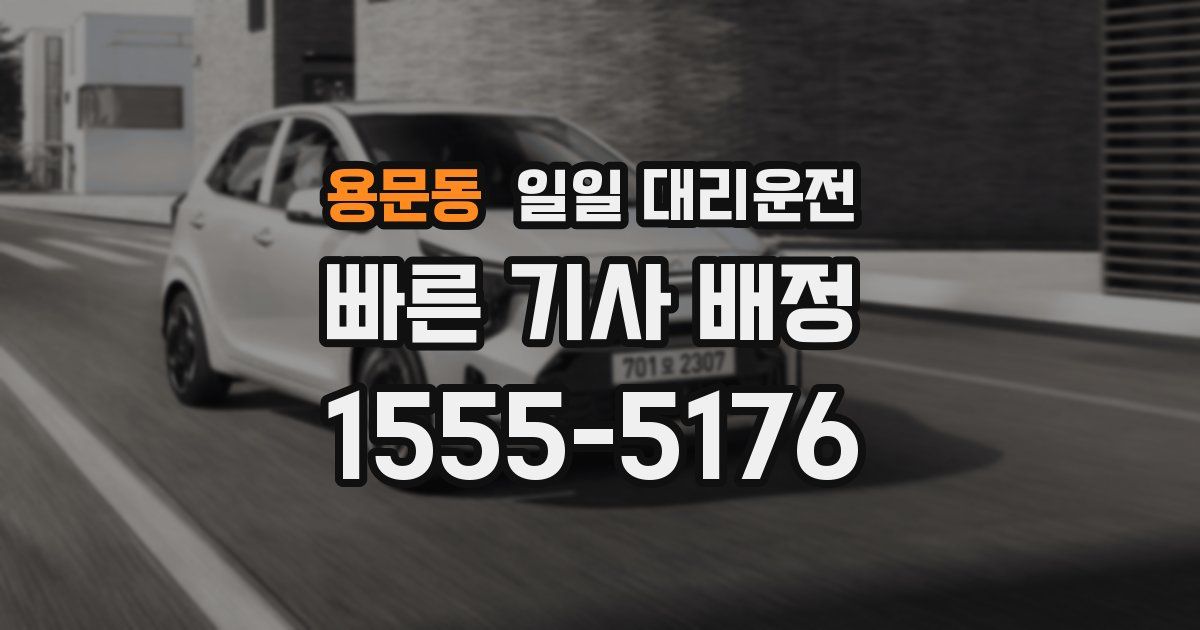 용문동 일일 대리운전