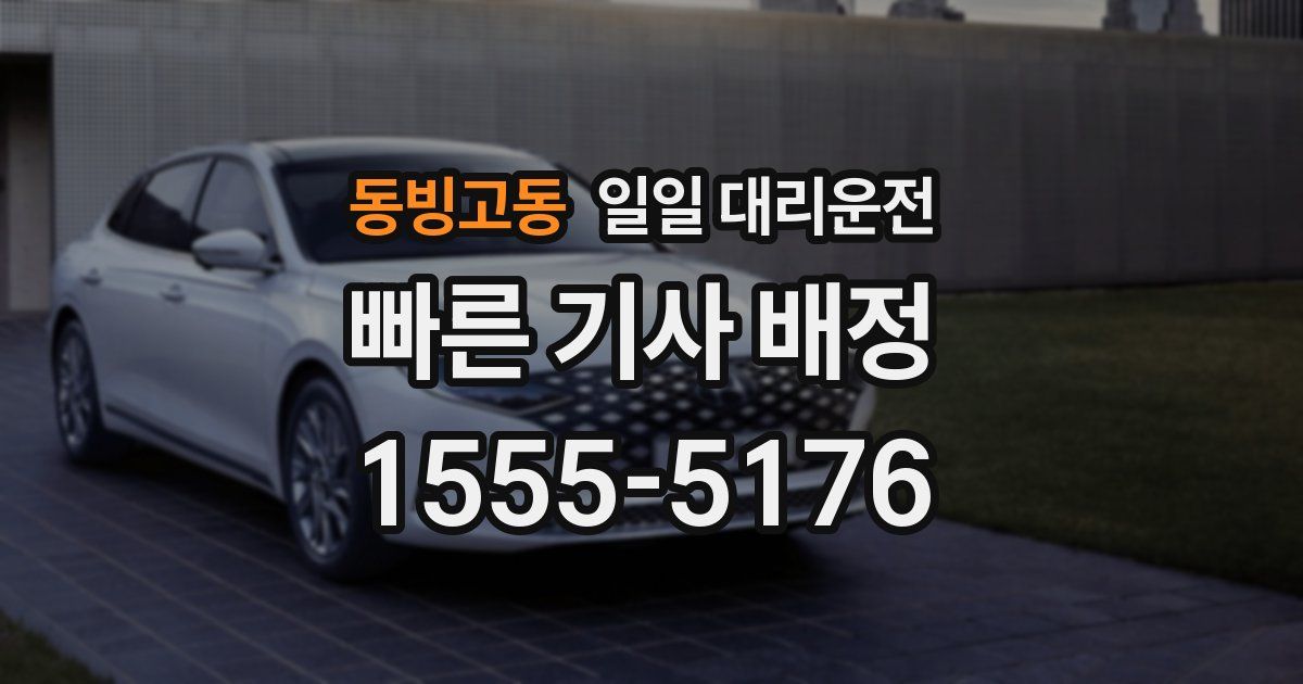 동빙고동 일일 대리운전