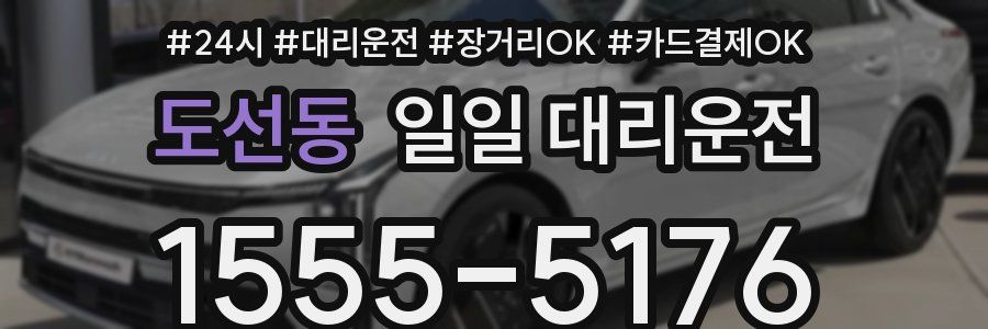 도선동 일일 대리운전