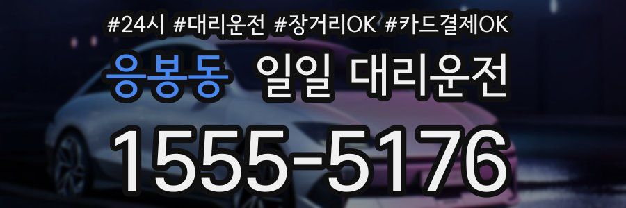 응봉동 일일 대리운전