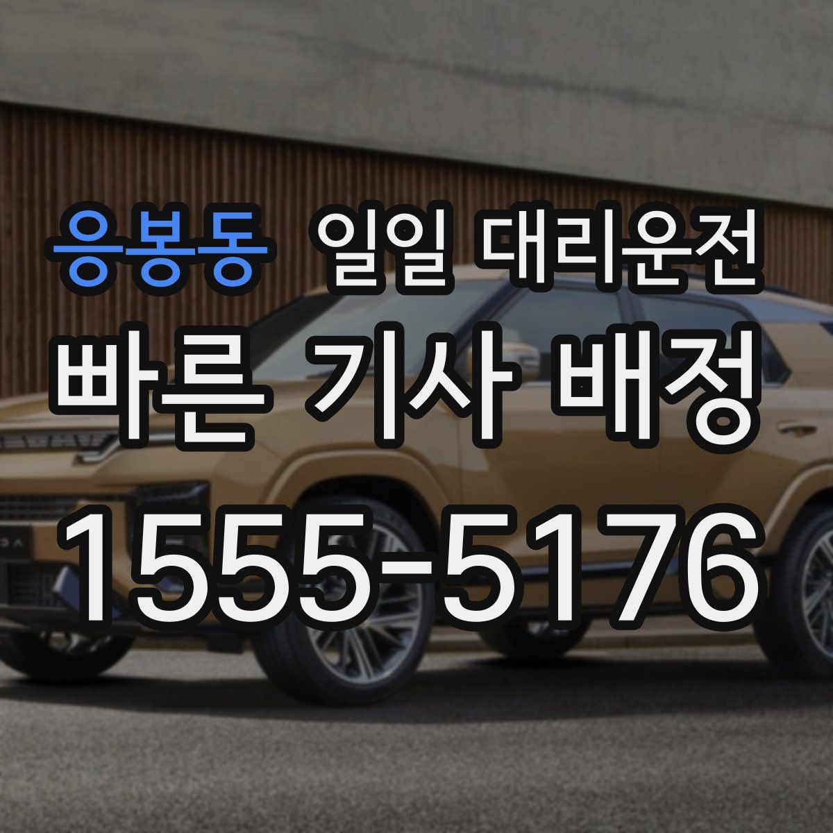 응봉동 일일 대리운전