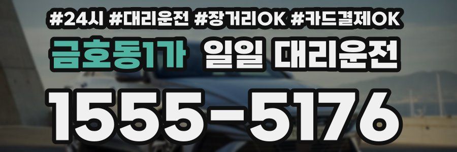 금호동1가 일일 대리운전