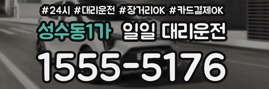 성수동1가 일일 대리운전