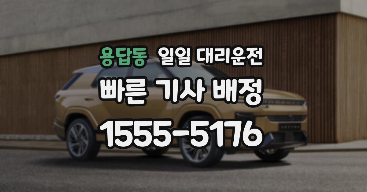 용답동 일일 대리운전