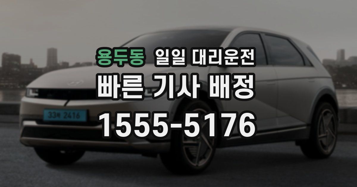 용두동 일일 대리운전