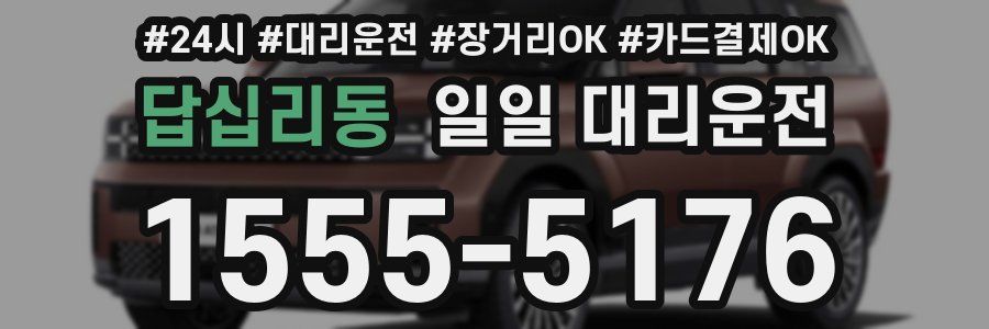 답십리동 일일 대리운전