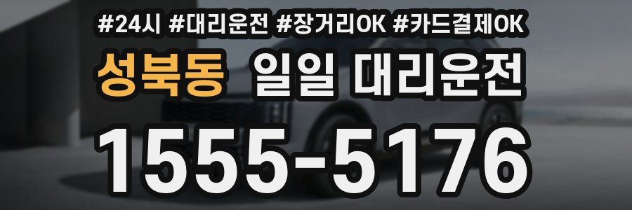 성북동 일일 대리운전