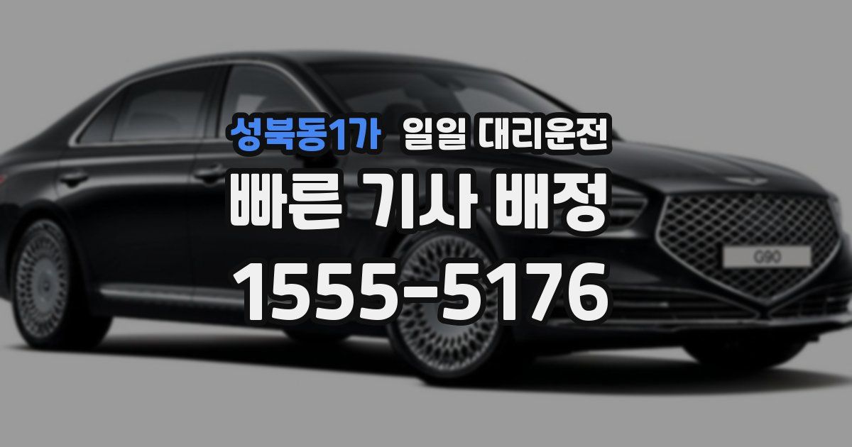 성북동1가 일일 대리운전