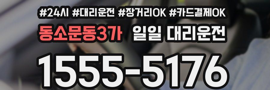 동소문동3가 일일 대리운전