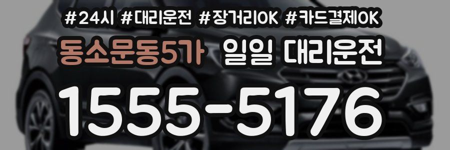 동소문동5가 일일 대리운전