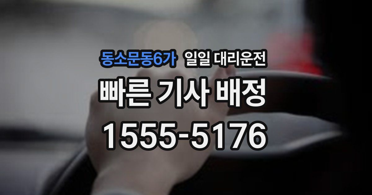동소문동6가 일일 대리운전