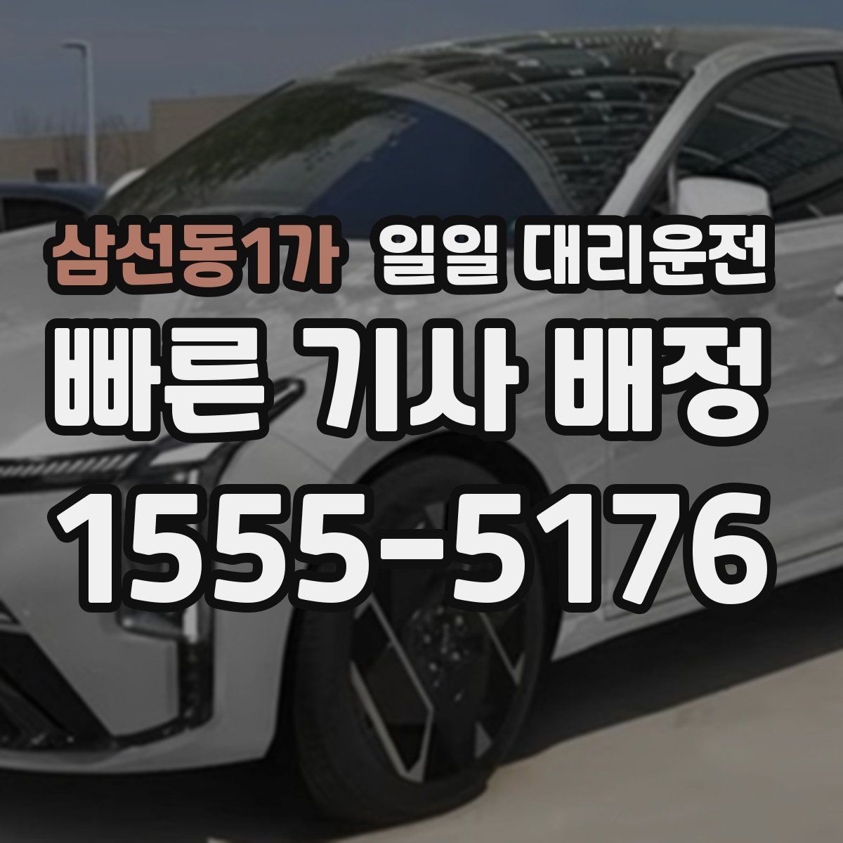 삼선동1가 일일 대리운전