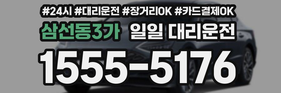 삼선동3가 일일 대리운전