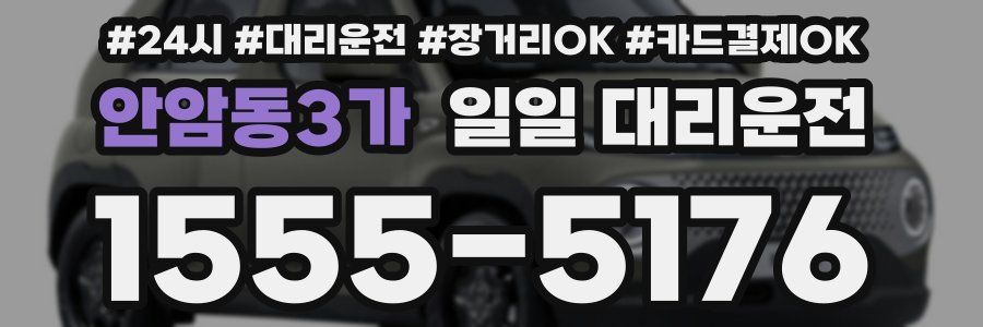안암동3가 일일 대리운전