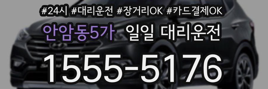 안암동5가 일일 대리운전