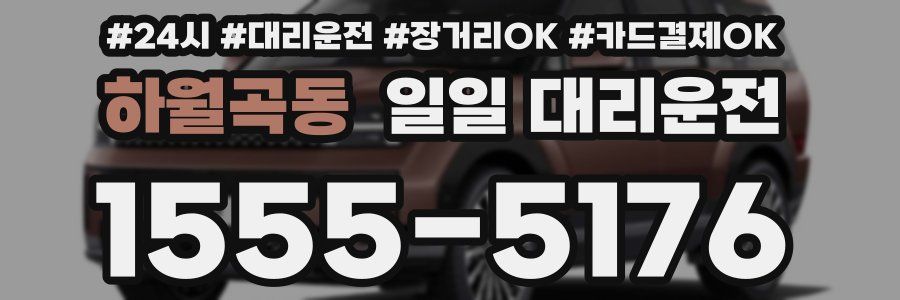 하월곡동 일일 대리운전