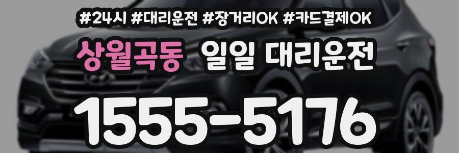 상월곡동 일일 대리운전