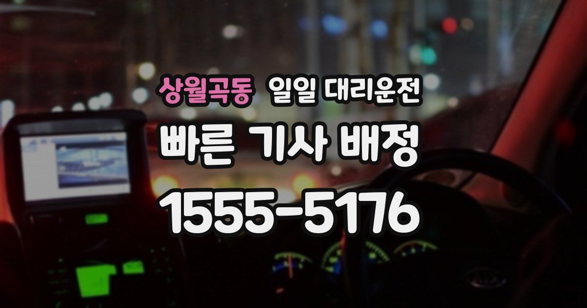 상월곡동 일일 대리운전