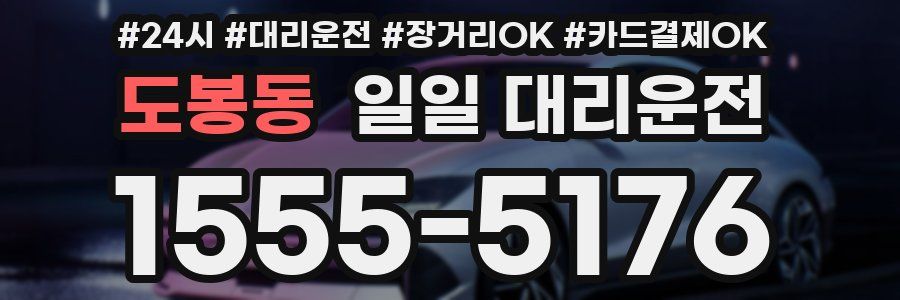 도봉동 일일 대리운전
