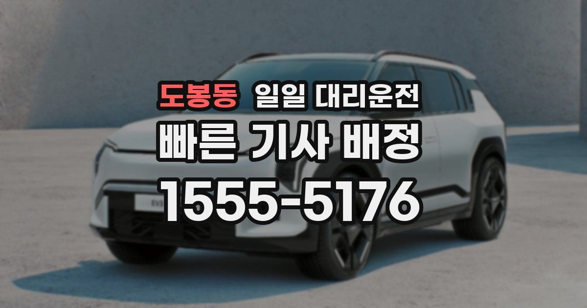 도봉동 일일 대리운전