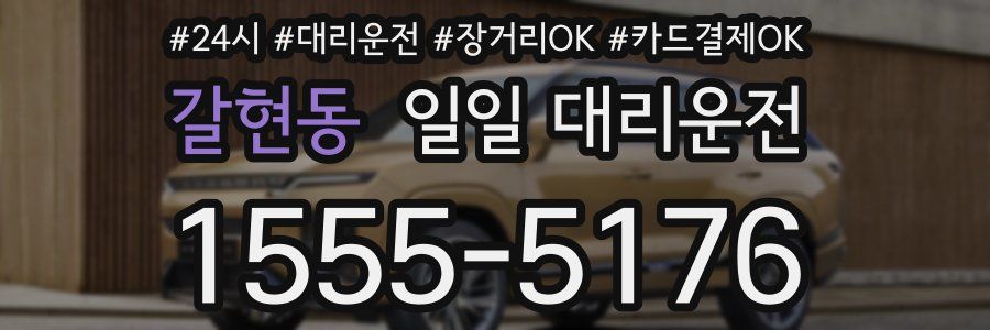 갈현동 일일 대리운전