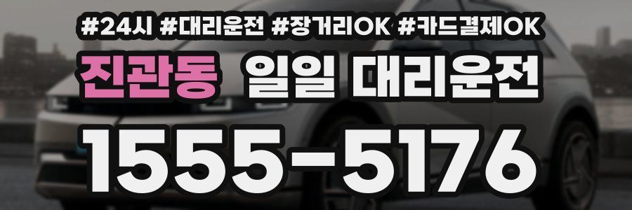 진관동 일일 대리운전