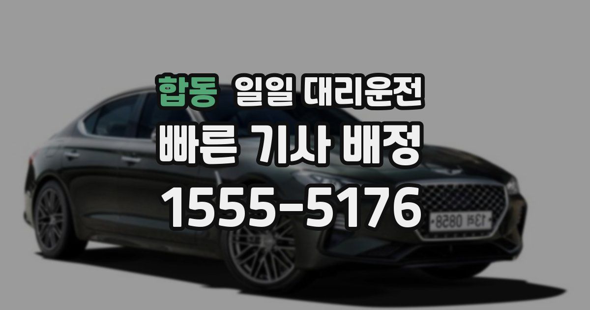 합동 일일 대리운전