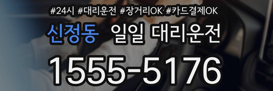 신정동 일일 대리운전