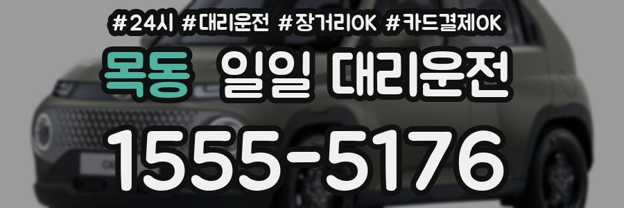 목동 일일 대리운전