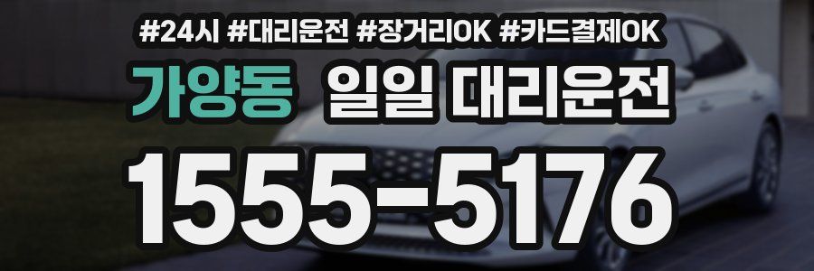 가양동 일일 대리운전
