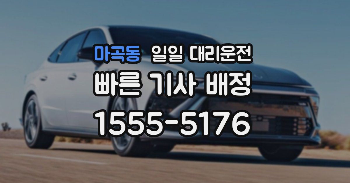 마곡동 일일 대리운전