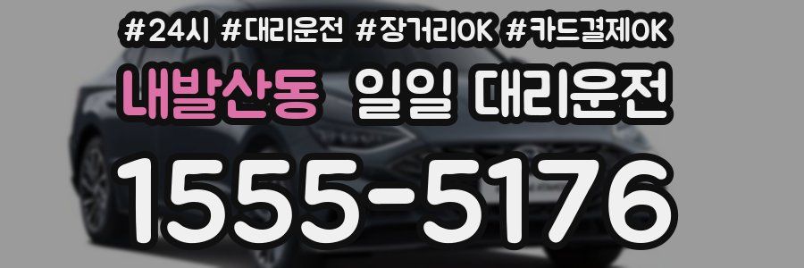 내발산동 일일 대리운전